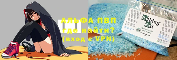 индика Аркадак