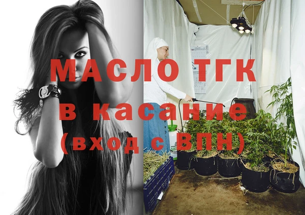 индика Аркадак