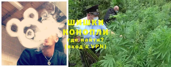 индика Аркадак