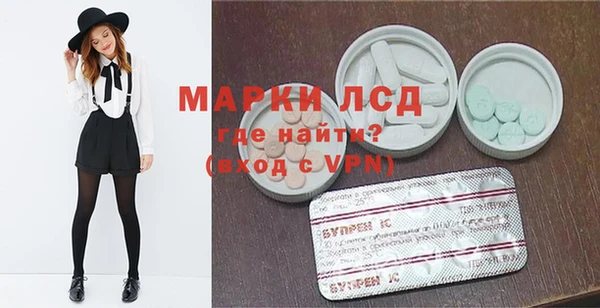 индика Аркадак