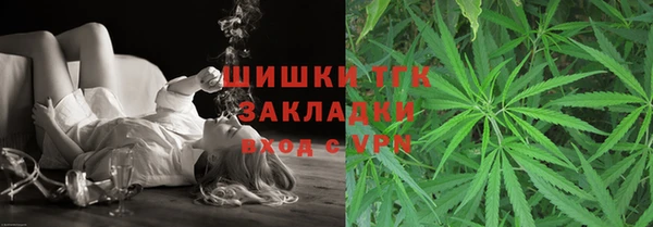 индика Аркадак