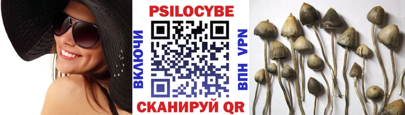 Псилоцибиновые грибы Psilocybine cubensis  купить наркотики сайты  Сосногорск 